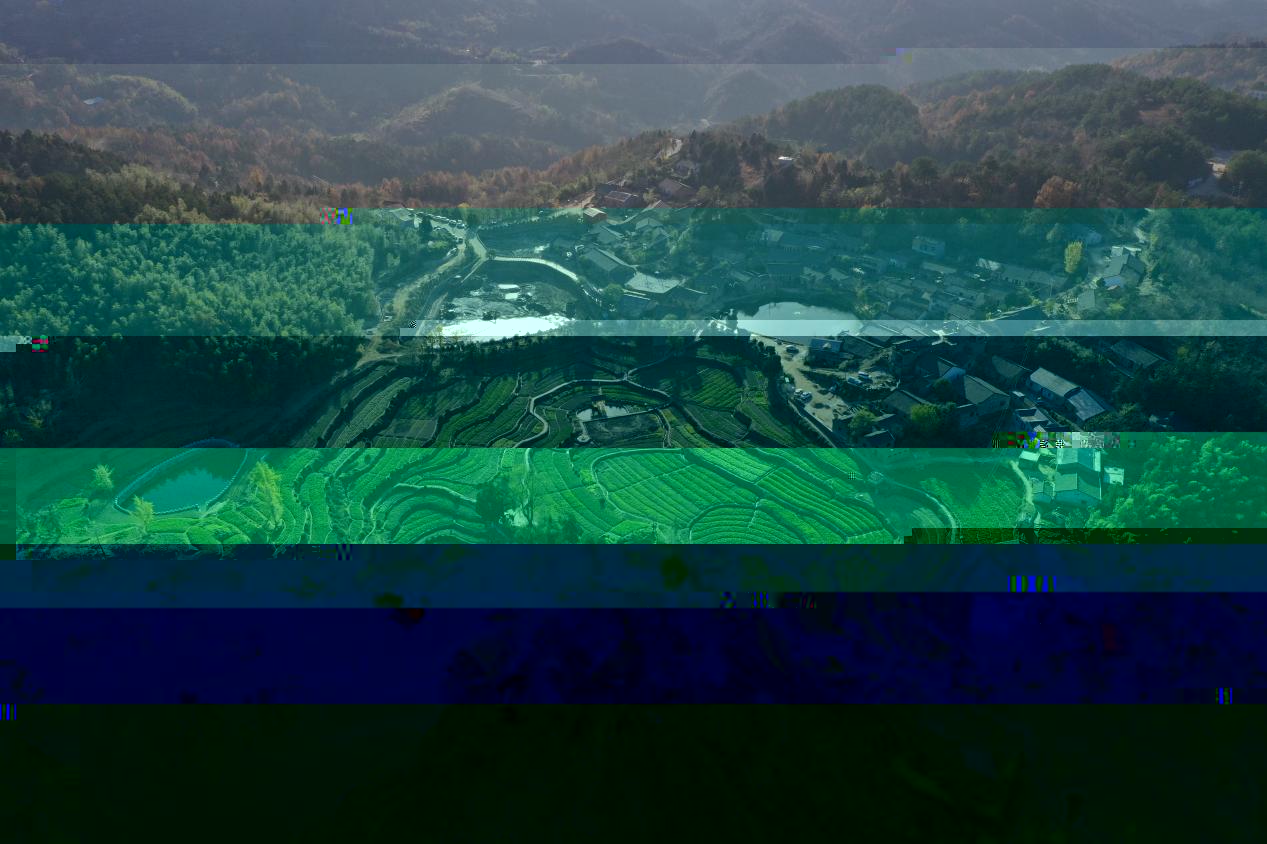 配圖版：黃岡師院支農攝影隊用鏡頭助力鄉村振興(1).docx